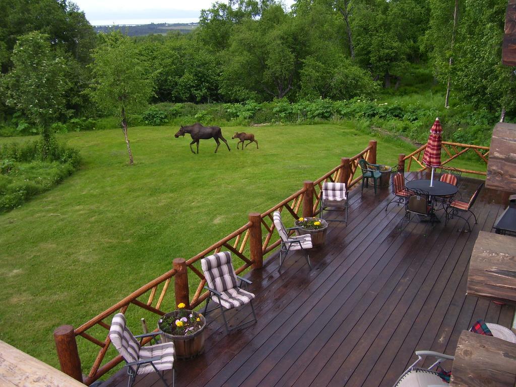 Juneberry Lodge Homer Buitenkant foto