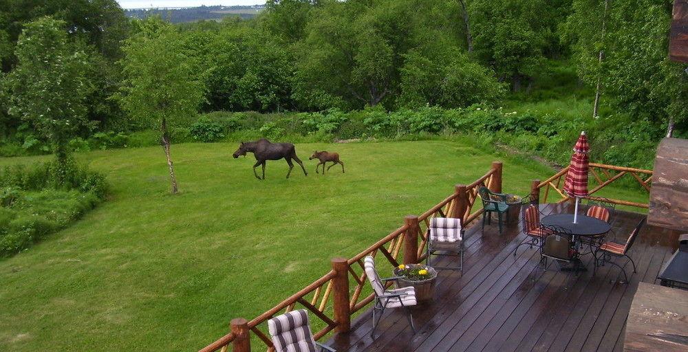 Juneberry Lodge Homer Buitenkant foto