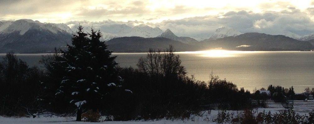 Juneberry Lodge Homer Buitenkant foto