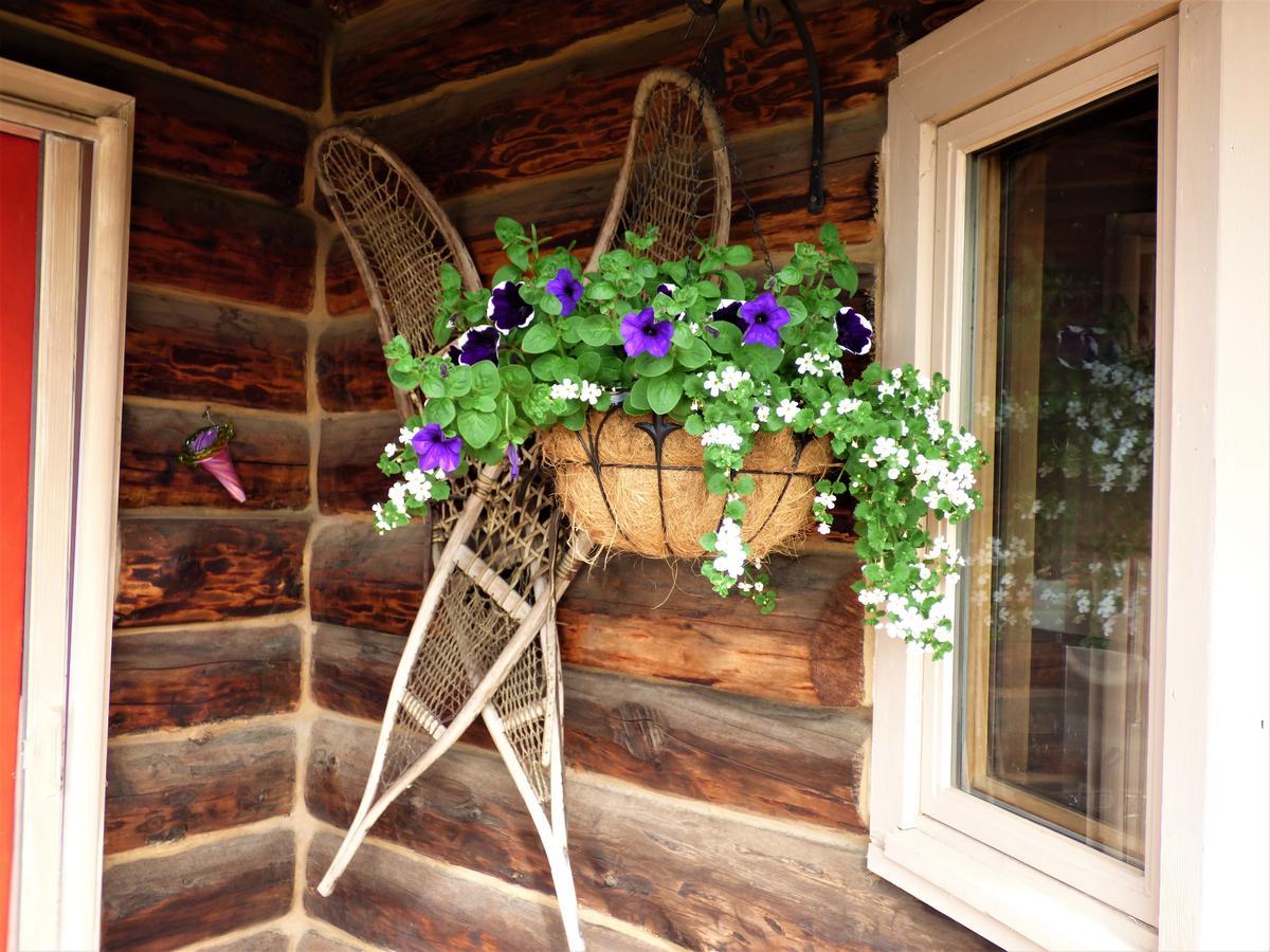 Juneberry Lodge Homer Buitenkant foto
