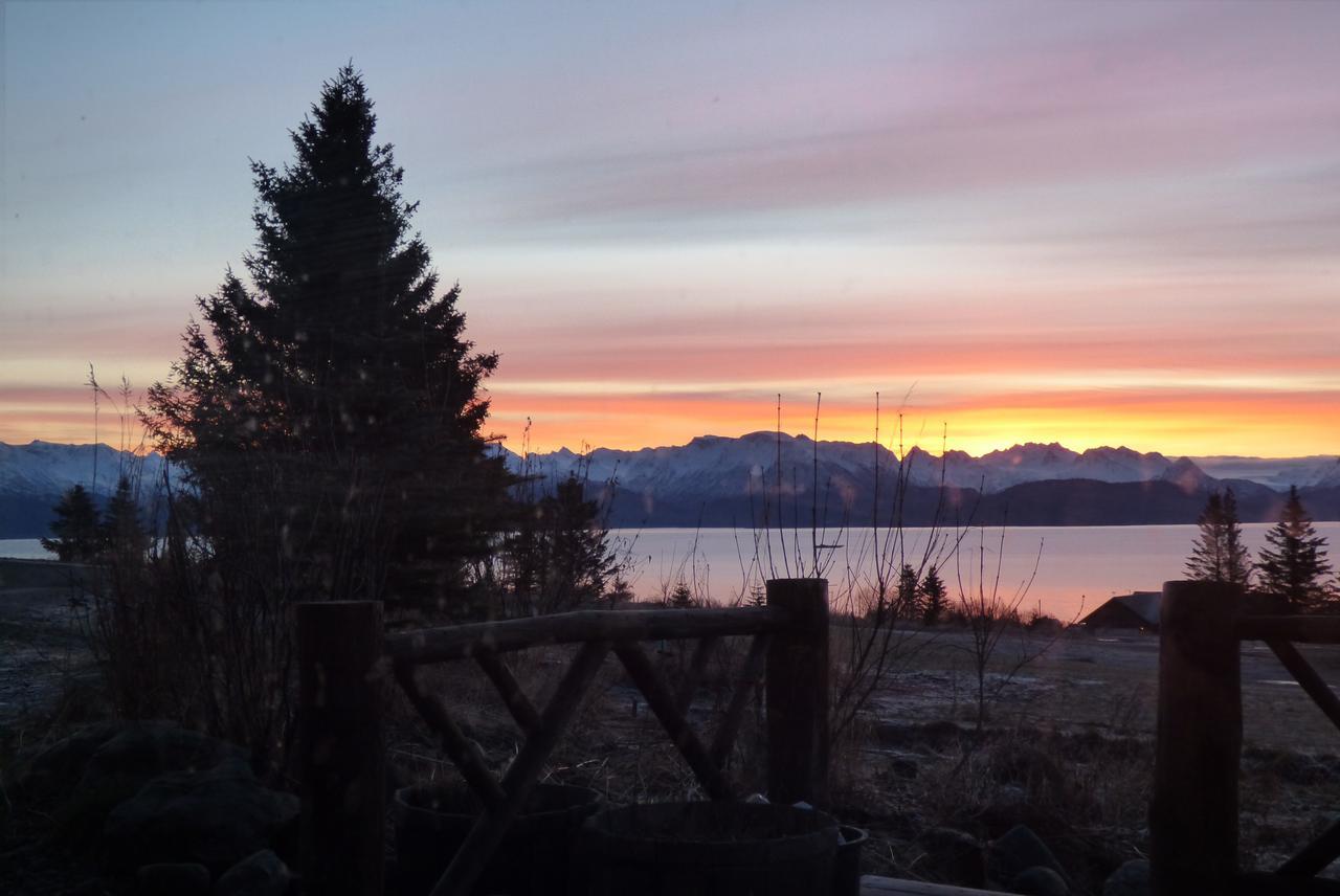 Juneberry Lodge Homer Buitenkant foto