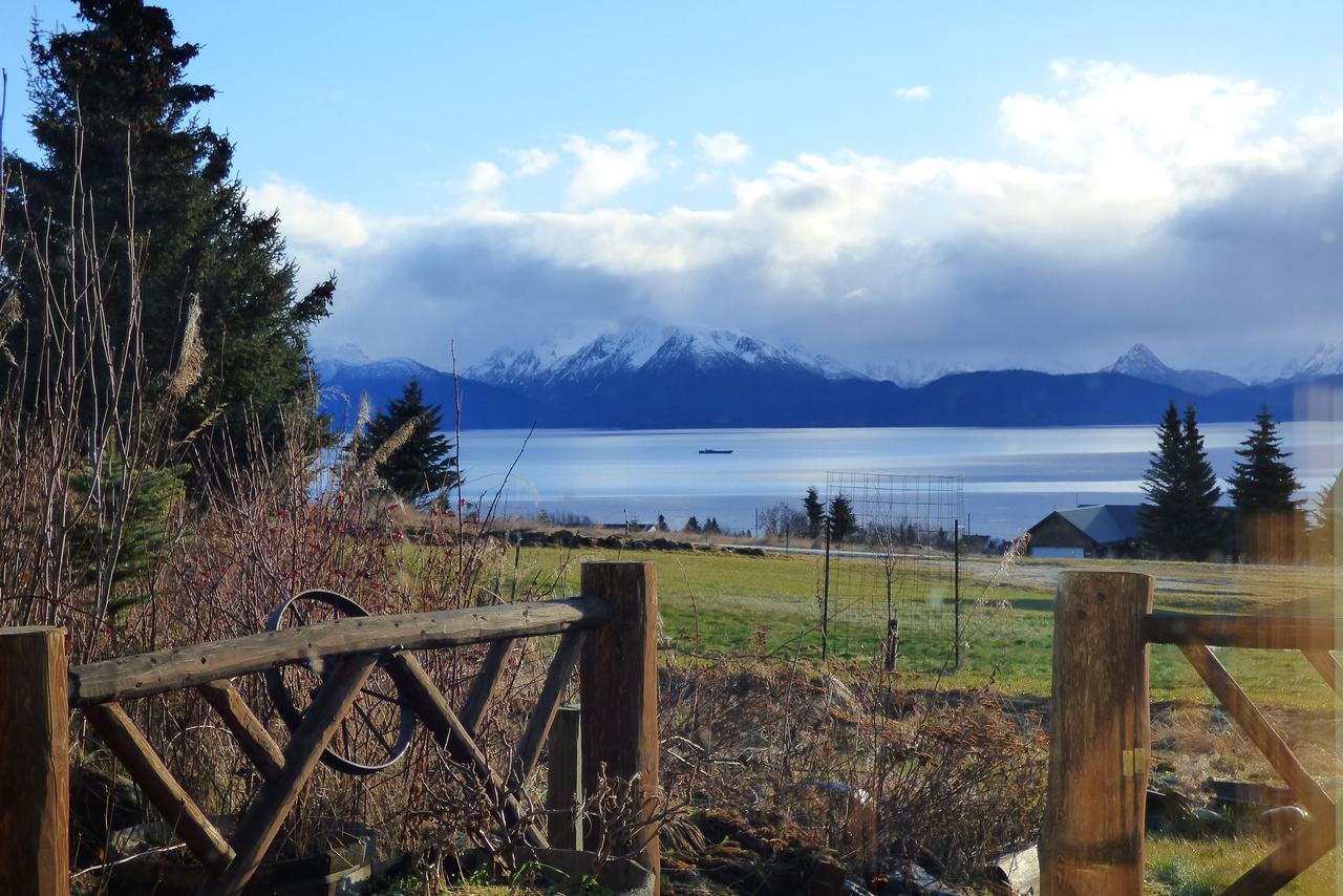 Juneberry Lodge Homer Buitenkant foto