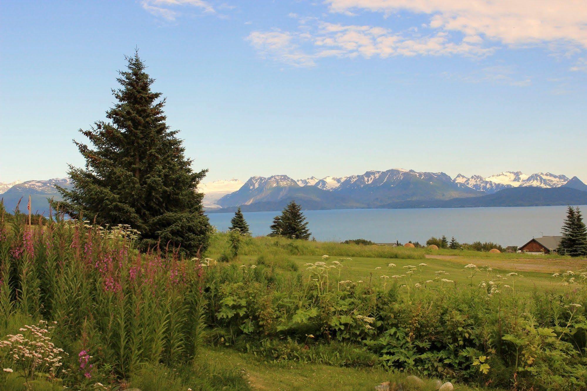 Juneberry Lodge Homer Buitenkant foto